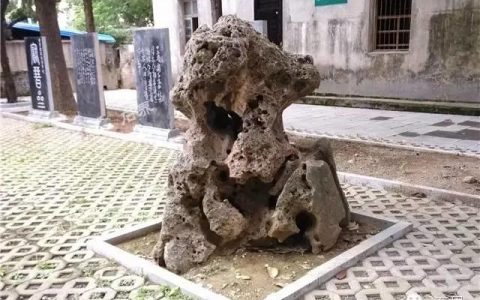 瘦皱漏透千古谜