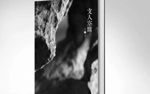 “文人空间”伴古石