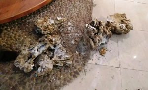 beepress-image-2-4-2-1202-1510146422-1