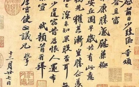 赏石名家苏东坡