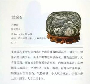 beepress-image-2-4-2-659-1509981155