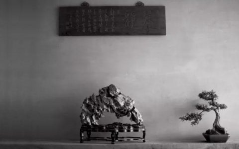 文人与赏石