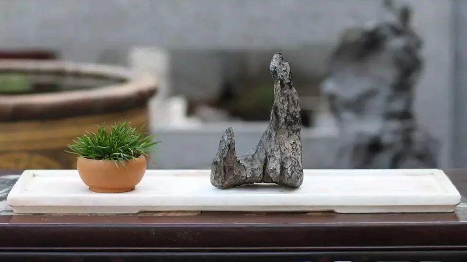 【诗赏雅石】盆景与赏石杂谈