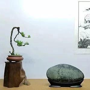 如何创作属于自己的赏石空间