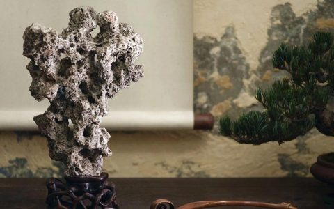 【名石品赏】清代昆石“玲珑玉”