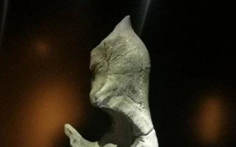 【诗赏雅石】藏佛