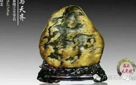 李隐龙：不忘初心，奇石不是被任意包装打扮的商业模特（一）