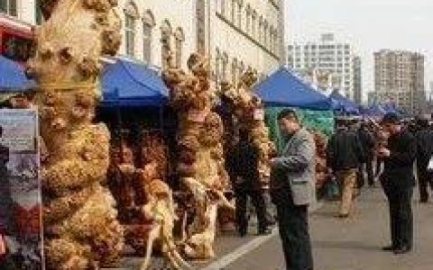 6月-7月全国展会信息！