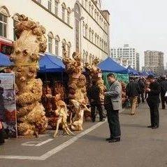 6月-7月全国展会信息！