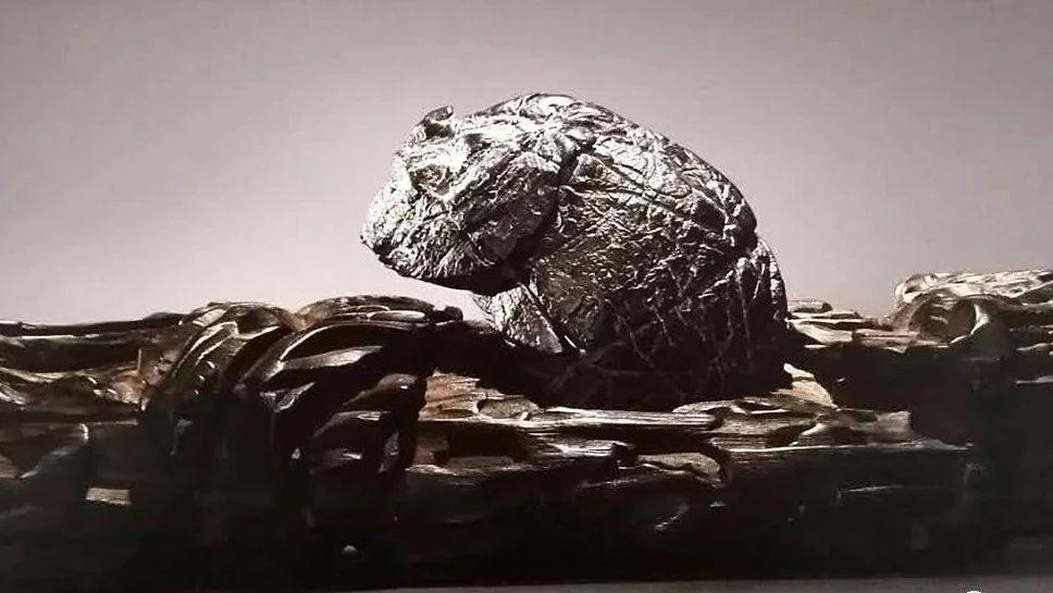徐文强：文玩赏石与现代赏石的区别与特点