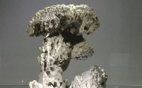 【诗赏雅石】抱朴