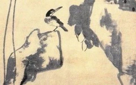 俞莹：八大山人画怪石