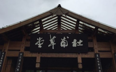 千碑诗歌留万古，杜甫草堂怪石多