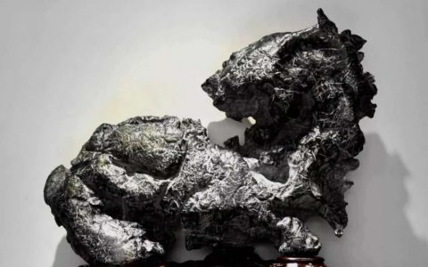 【诗赏雅石】龙马精神——寻找当代赏石的刚健之美