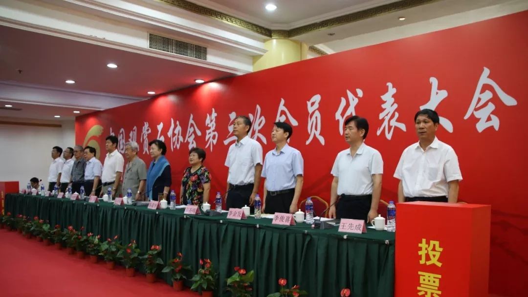 【大事件】王先成当选中国观赏石协会会长！