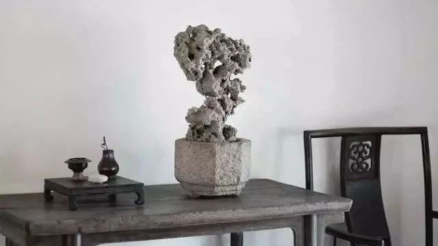 徐文强：居家环境的赏石点缀