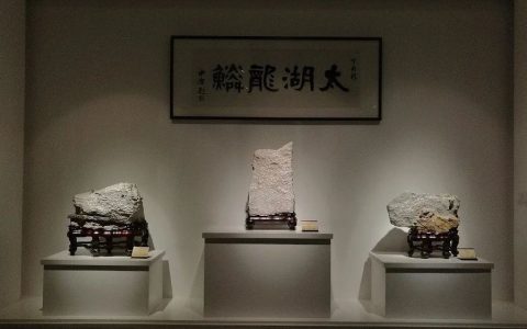 【名石品赏】太湖水石“太湖秋月”
