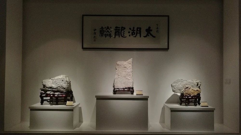 【名石品赏】太湖水石“太湖秋月”