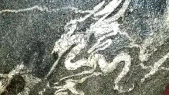 李隐龙：赏石不是创作艺术