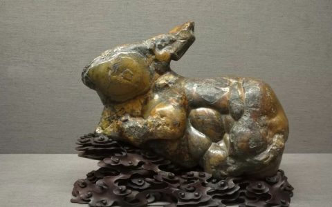 【名石品赏】月宫有兔石胆石