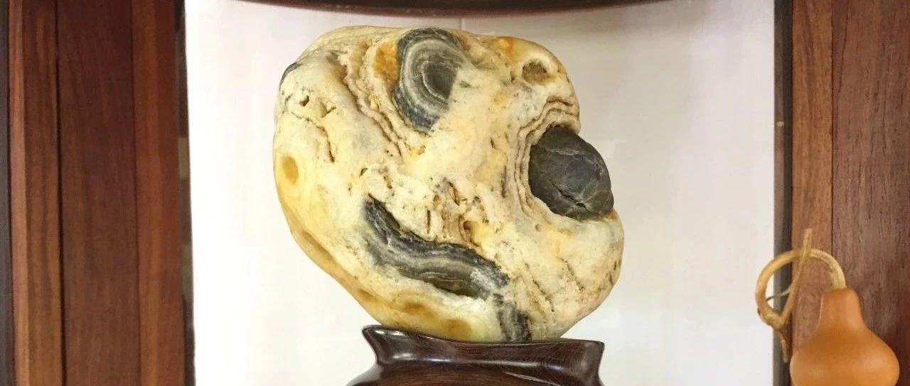 景行园中双年展，高考评石抢先看