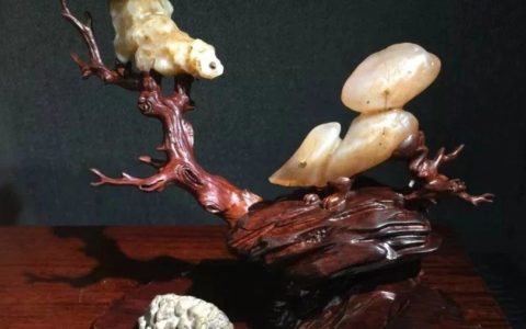 双年展上赏名石