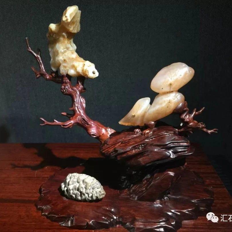 双年展上赏名石