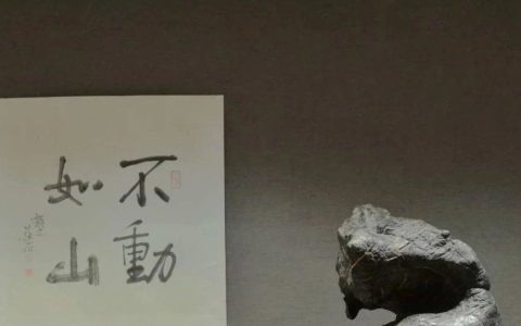 【名石品赏】“蓦然回首”灵璧石