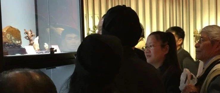 【山寺桃花】上海石展，我收获了什么