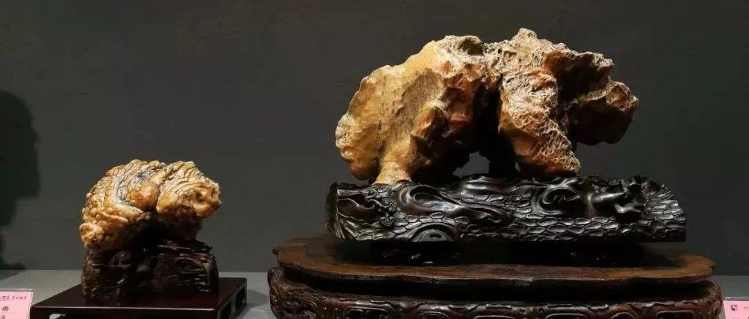 名家说石丨走进上海沪太赏石大展
