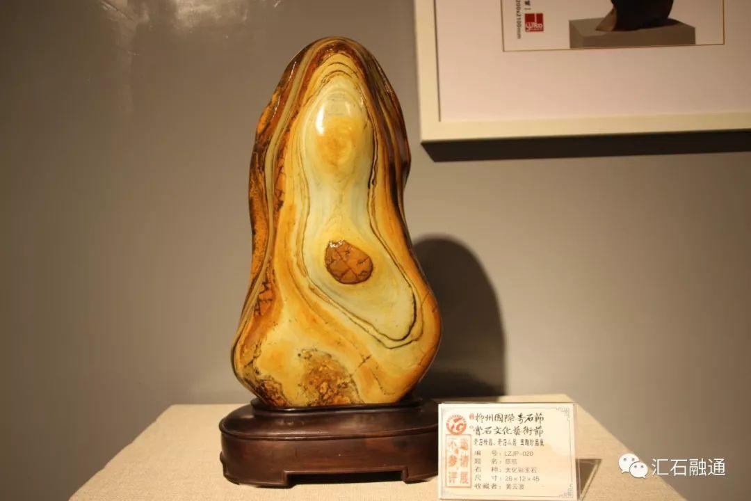 第十届柳州国际奇石节、百万名石·石尚1966文化艺术展盛大开幕！