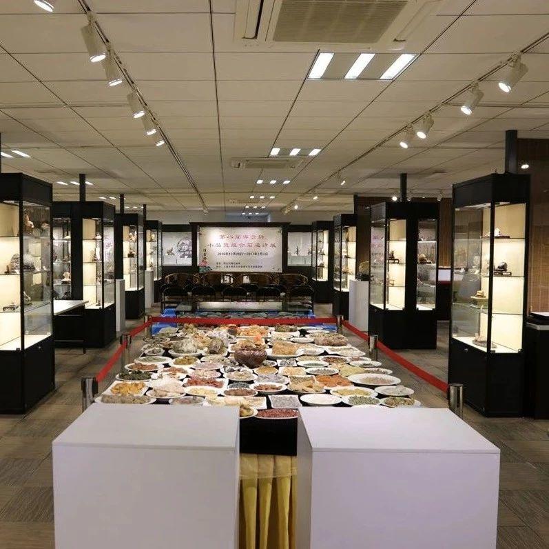 办了九届的上海得云轩小品石展，都展出过哪些好石头！？