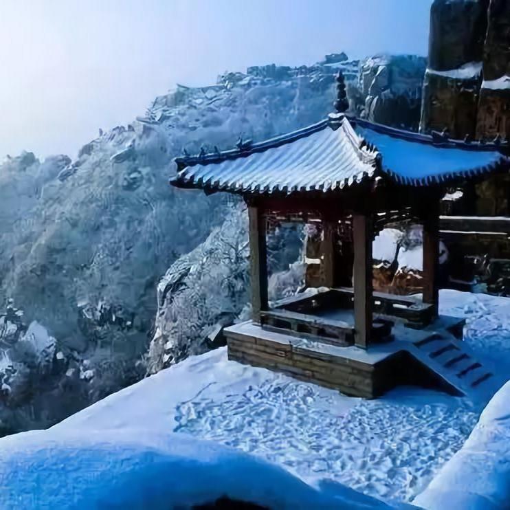 心若无尘，落雪听禅。