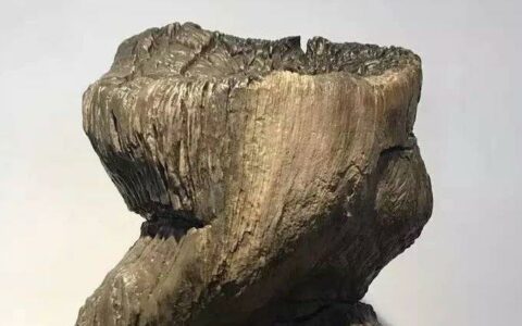 【山寺桃花】我们啊，调戏生，也调戏死