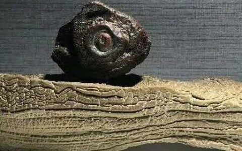 期盼有更多、更好的赏石展览与出版