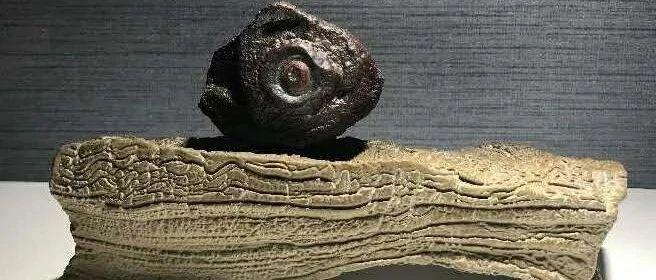 期盼有更多、更好的赏石展览与出版