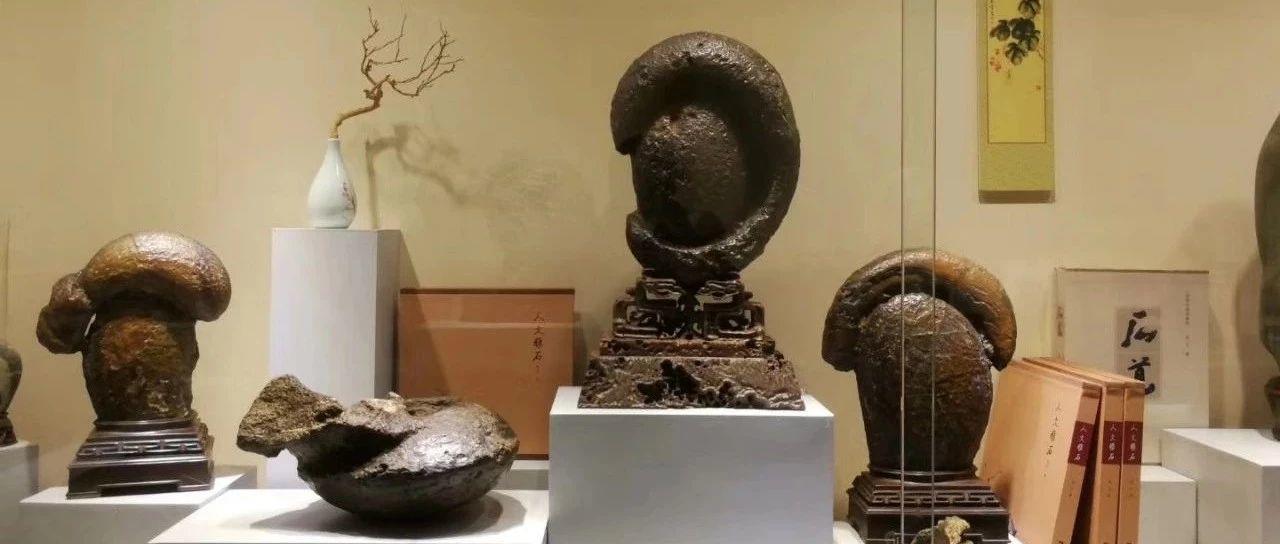 张卫：手中有石心不慌