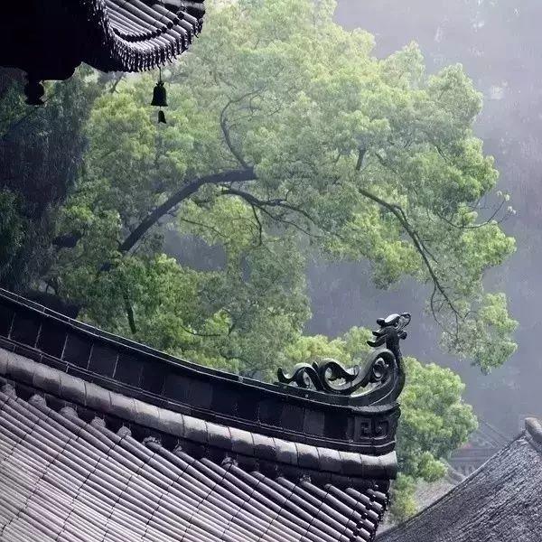 佛说：放下，究竟是要放下什么？