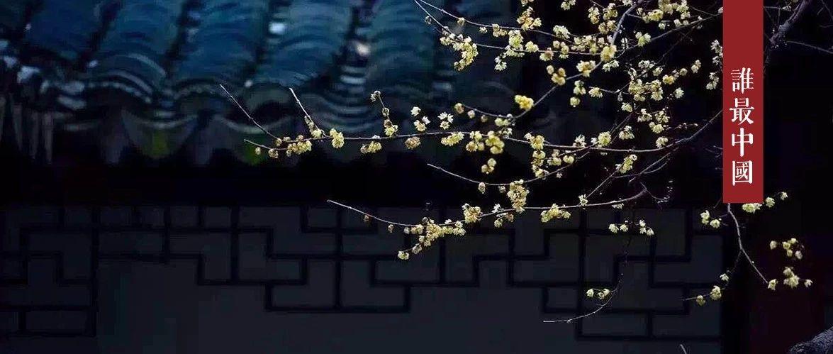 清居，是最大的奢侈。
