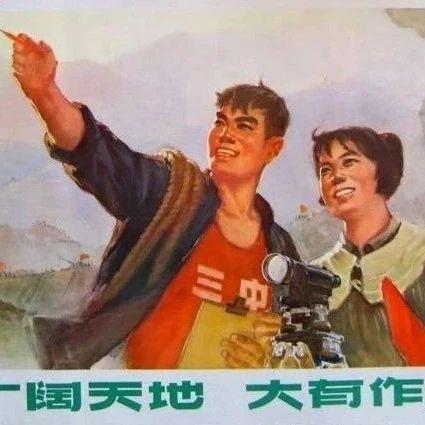 【津味赏石】文甡：为了忘却的记忆