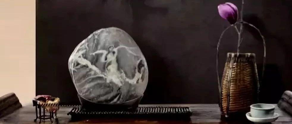 张卫：醒来便是春天