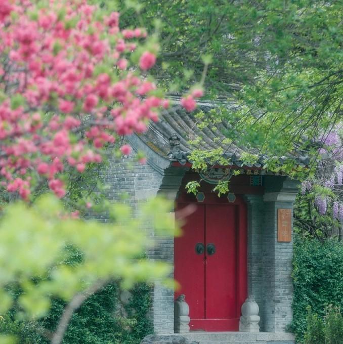 我有小院，春暖花開。