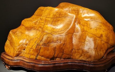 珍重待春风——写在太原展之后，石家庄展之前