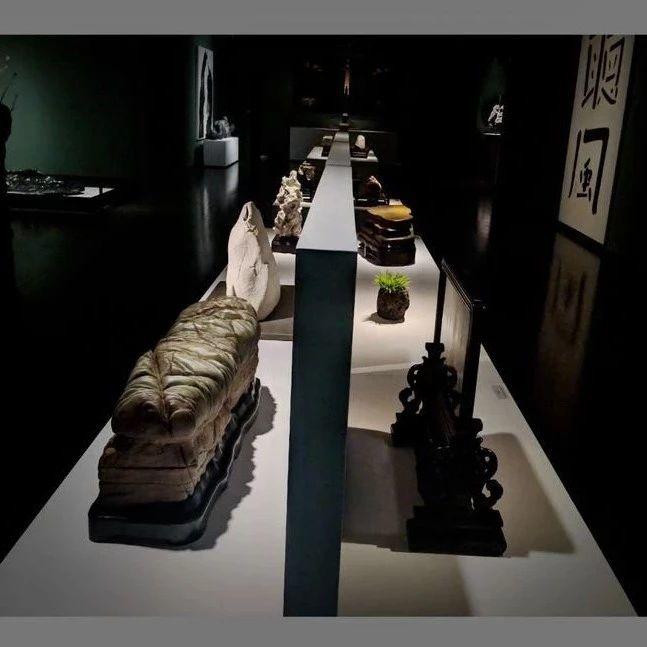 厚土生莲——石非石大展管窥