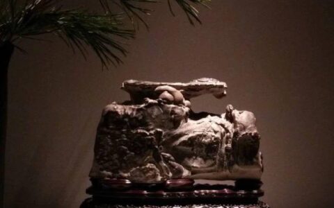 【诗赏雅石】秦冠天下