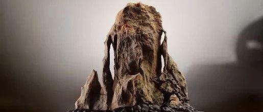 俞莹：古典赏石与文人审美