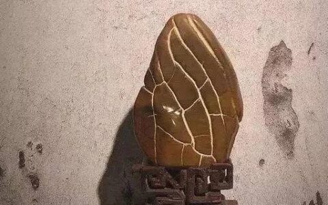【诗赏雅石】观纹
