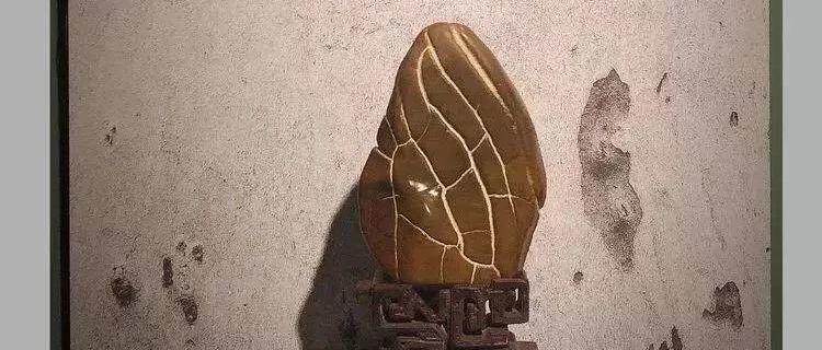 【诗赏雅石】观纹