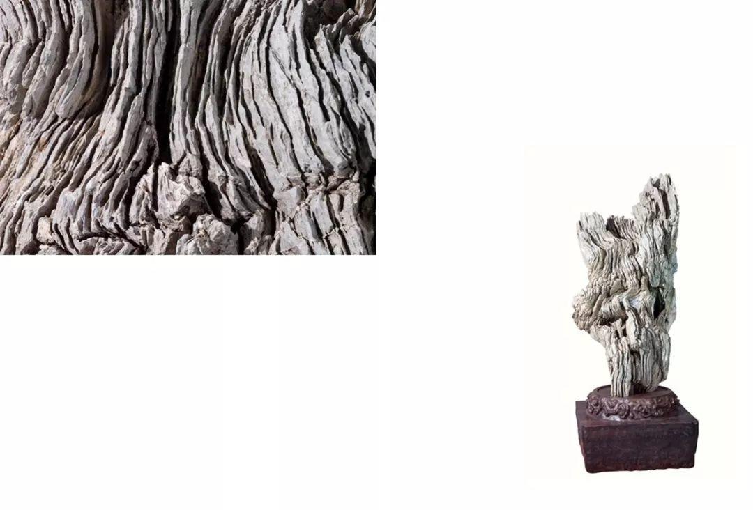 杜海鸥：赏石艺术，永远在路上——《海上石语》限量发售