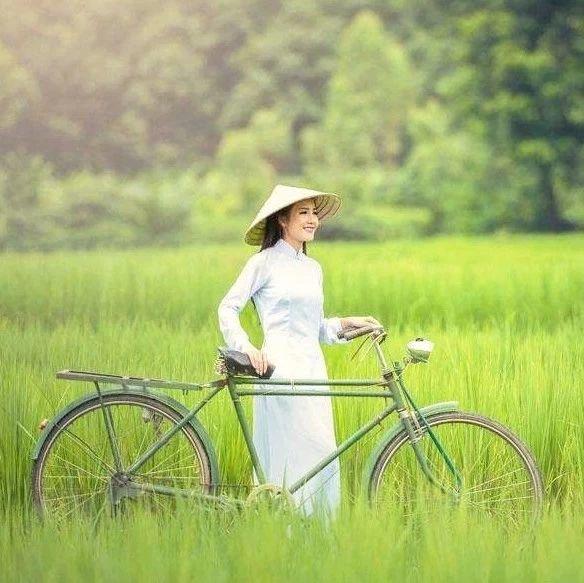 今日芒种：所有播种都能丰收，所有付出都能收获